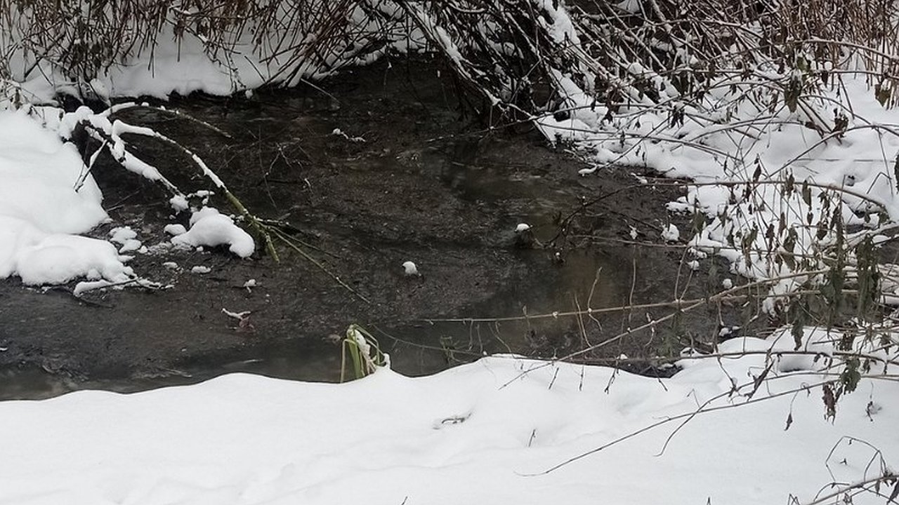 Главная картинка новости: Жители Судогодского района остались без канализации из-за бездействия властей