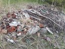 Прокуратура через суд заставит власти Селивановского района убрать 12 свалок