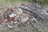 Миниатюра новости: Прокуратура через суд заставит власти Селивановского района убрать 12 свалок