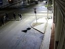 Семеро иностранцев устроили драку с досками и камнями во Владимире