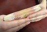 Миниатюра новости: Ковровская больница погасила более 23 миллиона рублей долга перед предпринимателями