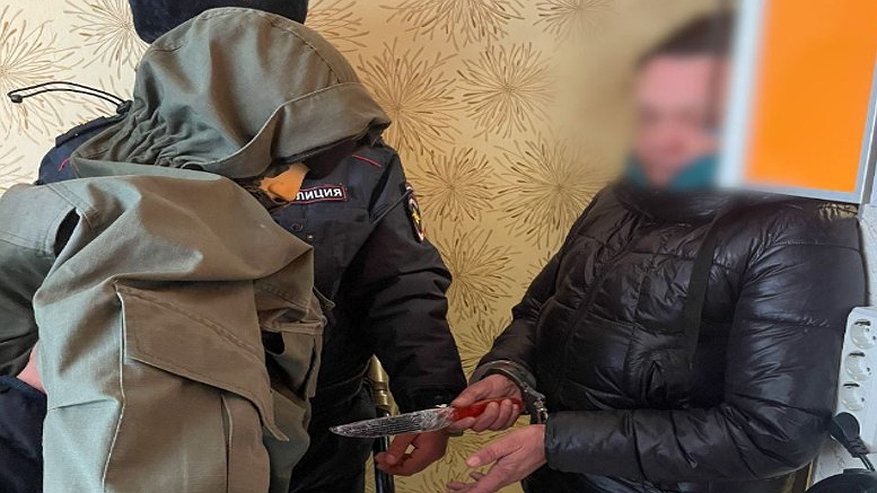 Главная картинка новости: Жительница Кольчугина пойдет под суд за попытку убийства знакомого ножом