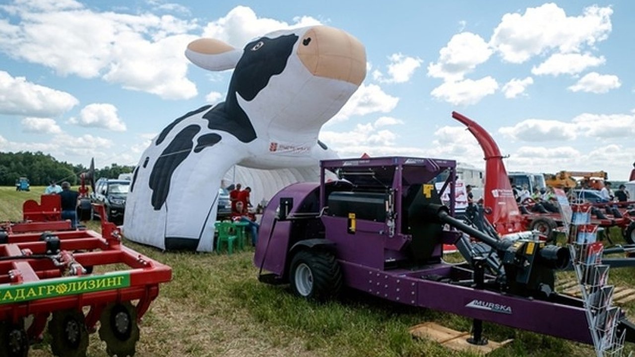 Главная картинка новости: В Меленковском округе пройдет аграрный праздник «День поля-2025»