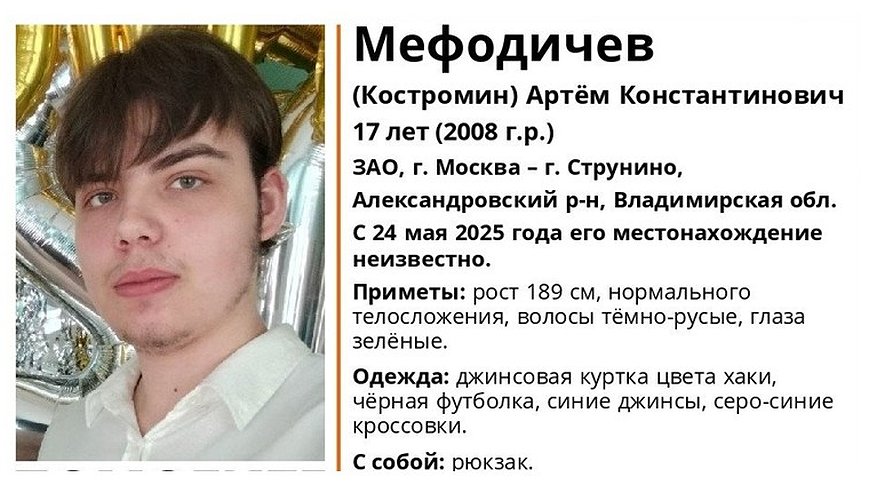 Главная картинка новости: Во Владимирской области разыскивают пропавшего 17-летнего жителя Москвы