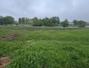 В Суздальском районе чиновников заподозрили в продаже госземли за бесценок