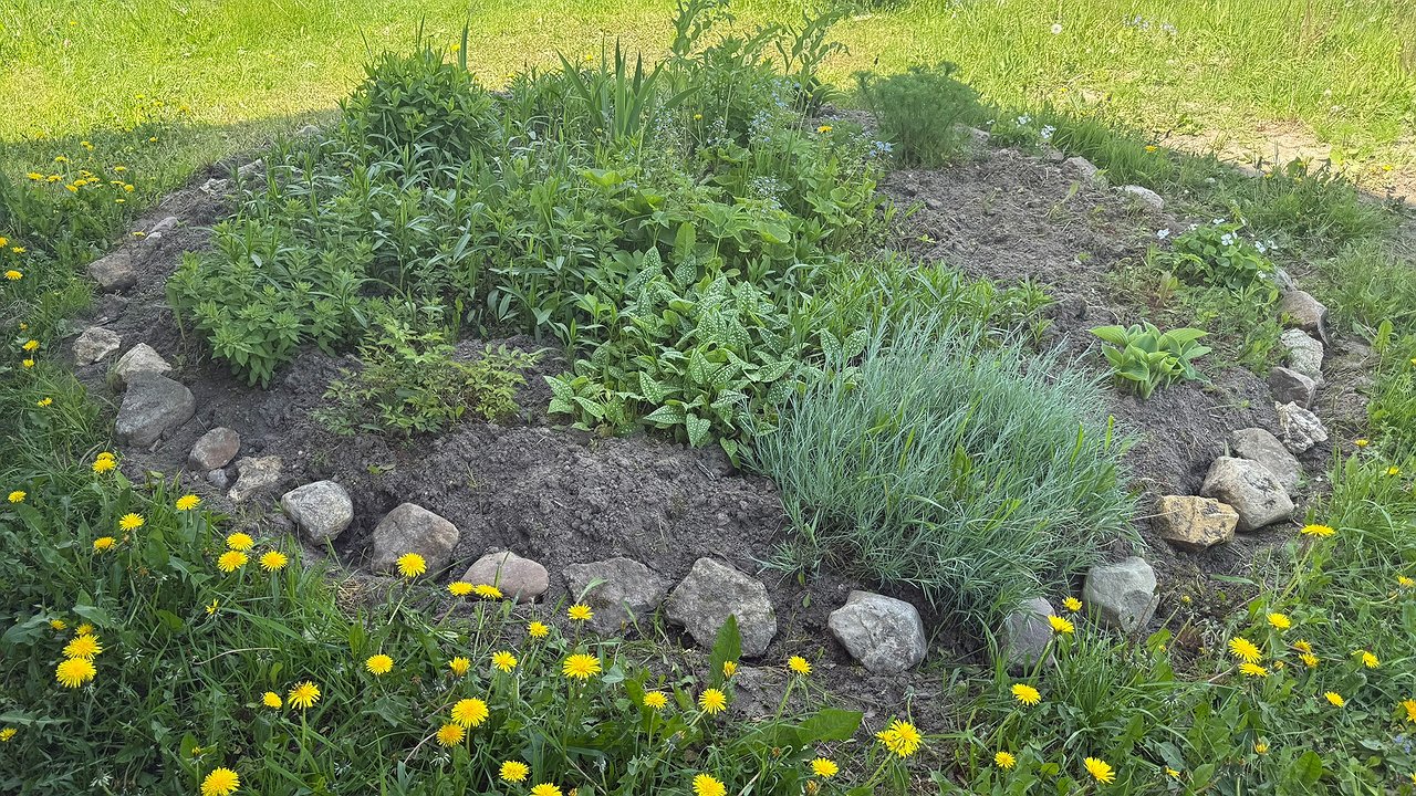 Главная картинка новости: Не уксус и не сода: этот способ навсегда избавит садовые дорожки от сорняков — даже живучий пырей исчезнет надолго