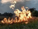 Во Владимирской области вновь вводится особый противопожарный режим