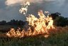 Миниатюра новости: Во Владимирской области вновь вводится особый противопожарный режим