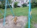 В Красной Горбатке детские площадки на трёх улицах признаны травмоопасными