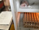 На кухнях вязниковских школ выявили антисанитарию