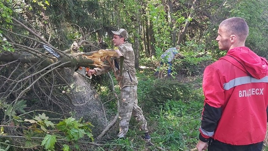 Главная картинка новости: На автодороге Владимир – Юрьев-Польский расчищено два километра леса от сухостоя