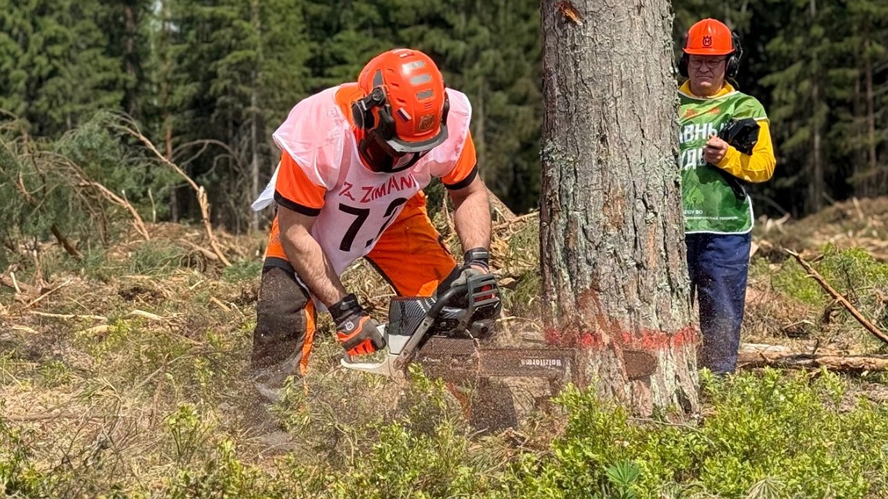 Главная картинка новости: В Судогодском районе подвели итоги Кубка «ZimAni» среди вальщиков леса