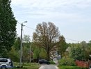В Петушках поменяли асфальт на двух городских улицах