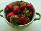 Клубнике в июне — первым делом: 1 ложка на пять кустов — и ягоды с кулак обеспечены