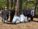 В лесу под Собинкой прошла экологическая акция «Чистый лес»