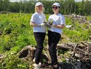 В Александровском районе сотрудники «Энергосбыт Волга» высадили 18 тысяч елей