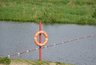 Миниатюра новости: Во Владимире запретили купание в двух водоёмах