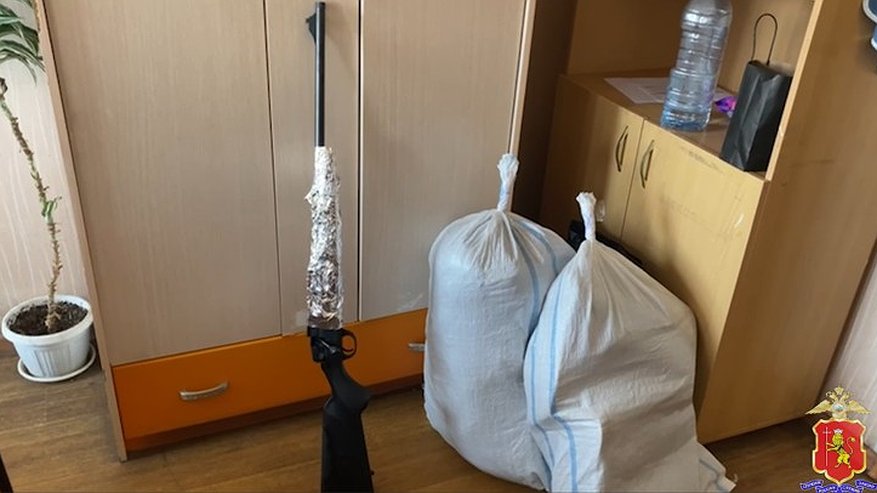 Главная картинка новости: В Ковровском районе мужчину подозревают в браконьерстве после отстрела двух лосей