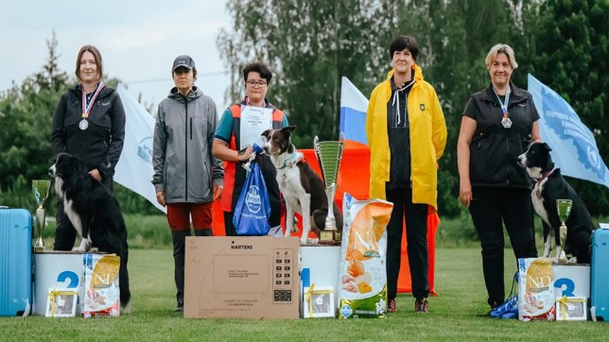 Главная картинка новости: Владимирские спортсмены отличились на чемпионате России по собаководству
