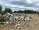 Во Владимире вновь обнаружили крупные свалки