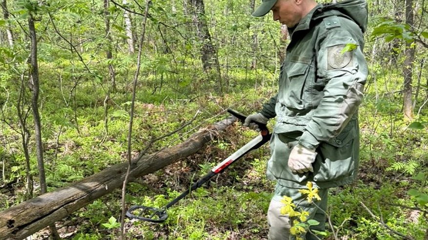 Главная картинка новости: В Судогде ранее судимого мужчину обвиняют в убийстве из ревности