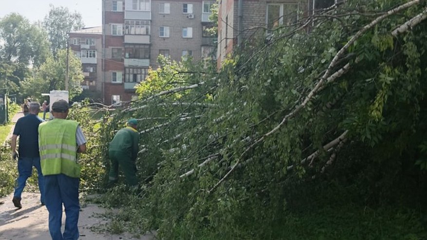 Главная картинка новости: Во Владимире устраняют последствия ночного ливня и сильного ветра
