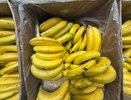 Сыплю соль на кожуру банана — весь июнь не нарадуюсь своей смекалке: лучший совет для ленивых хозяек