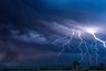 Миниатюра новости: Во Владимире устраняют последствия ночной грозы