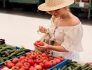 Во Владимире усилили контроль за уличной торговлей плодоовощной продукцией