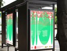 Шеф-повара и фолк-группы выступят на «Празднике Огурца» в Суздале