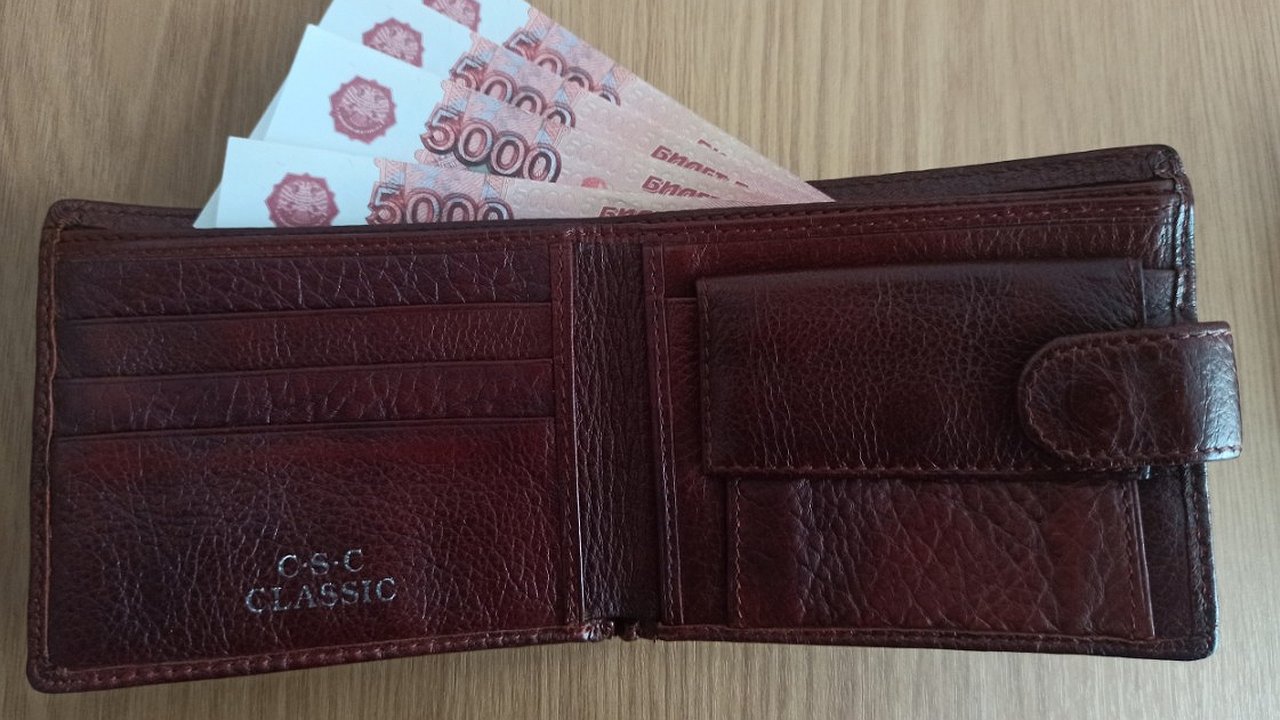 Главная картинка новости: Средняя зарплата во Владимирской области достигла 68 тысяч рублей