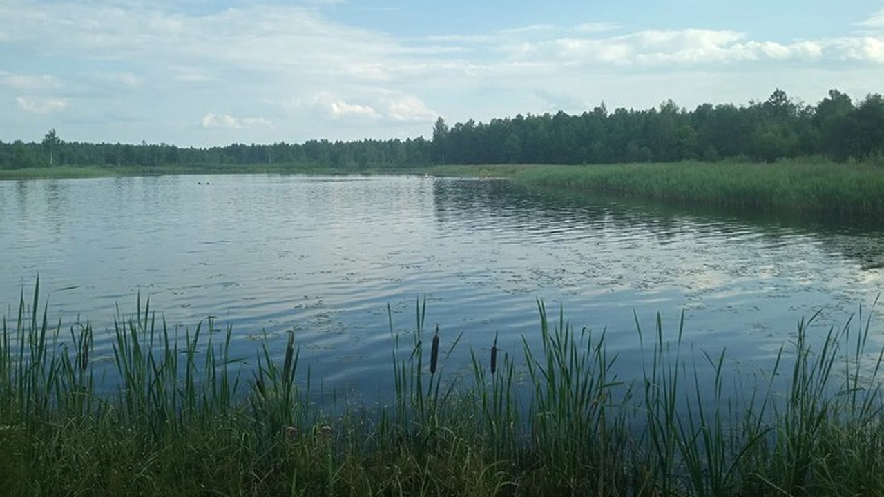 Главная картинка новости: Из 39 пляжей Владимирской области только 6 получили разрешение на работу