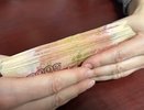 В Гороховецком районе женщина задолжала более 100 тысяч рублей по алиментам
