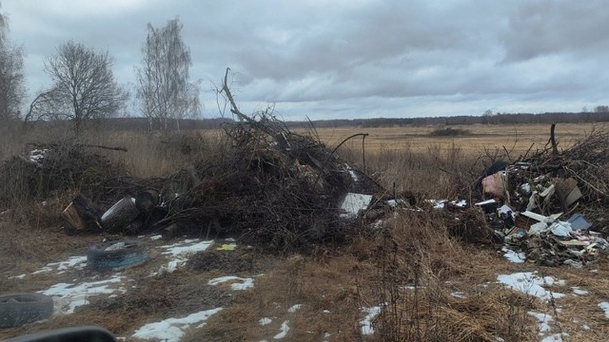 Главная картинка новости: Коллективная жалоба жителей Собинского района привела к ликвидации свалок