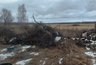 Миниатюра новости: Коллективная жалоба жителей Собинского района привела к ликвидации свалок