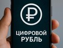Во Владимирской области появится возможность использовать цифровой рубль в расчётах