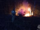 В Меленковском районе автомобиль загорелся после съезда в кювет