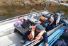 Миниатюра новости: В Вязниковском районе проходят поиски утонувшего мужчины