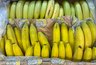 Миниатюра новости: Банановую кожуру посыпаю солью — весь июнь не нарадуюсь своей хитрости: лучший совет для лентяев