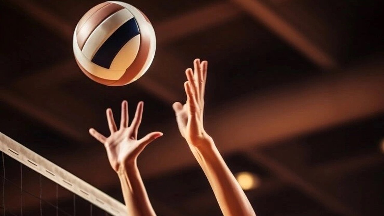 Главная картинка новости: Стрельба, волейбол, и не только: куда сходить владимирцам-любителям спорта