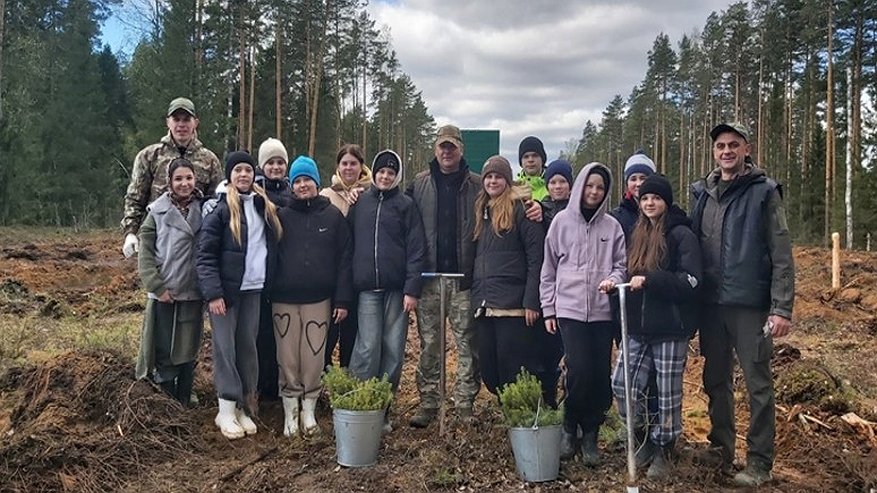 Главная картинка новости: В Юрьев-Польском районе высадили сосны и ели в память Александра Кривоногова