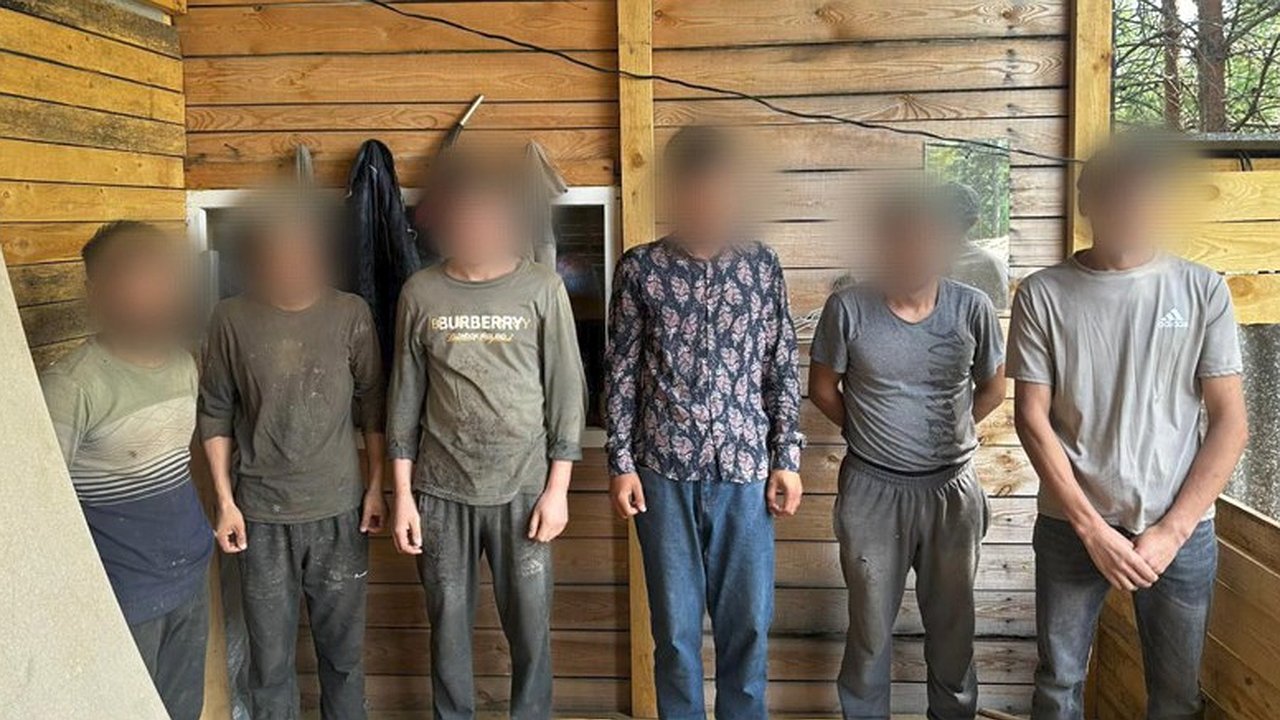 Главная картинка новости: В Ковровском районе выявили мигрантов без документов и разрешений на работу