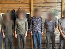В Ковровском районе выявили мигрантов без документов и разрешений на работу