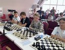 Владимирская гимназия вошла в число лучших на всероссийском шахматном турнире