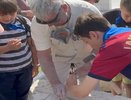 Во Владимире продолжается фестиваль скульптуры с мастер-классами для школьников