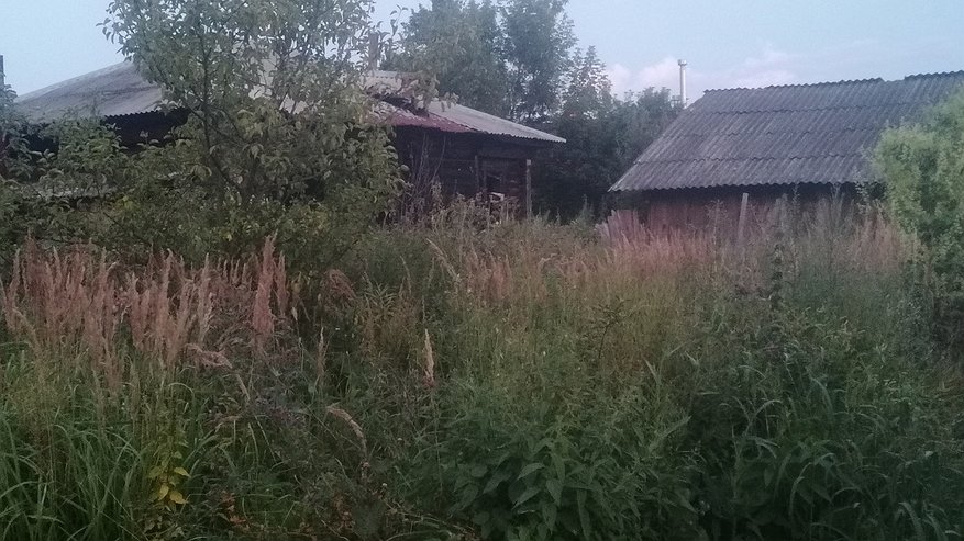 Главная картинка новости: Эти фамилии есть у тех, кто испокон веков рождался в семье холопов: проверьте, попала ли в список ваша