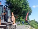 Во Владимире перекрыли улицу Урицкого из-за вырубки поросли и сухих веток