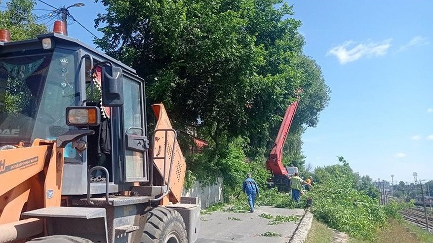 Главная картинка новости: Во Владимире перекрыли улицу Урицкого из-за вырубки поросли и сухих веток