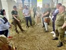 Во Владимирской области расширили меры поддержки для участников боевых действий