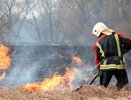 Во Владимирской области отменён особый противопожарный режим